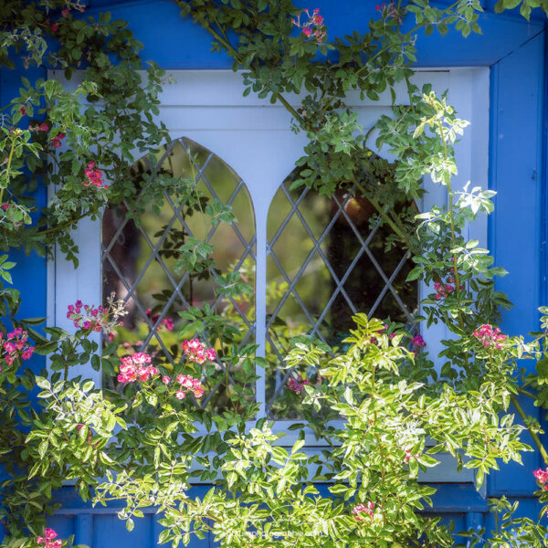 Vue sur jardin Fenêtre sur jardin