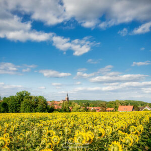 Village Alsacien et champs de tournesols
