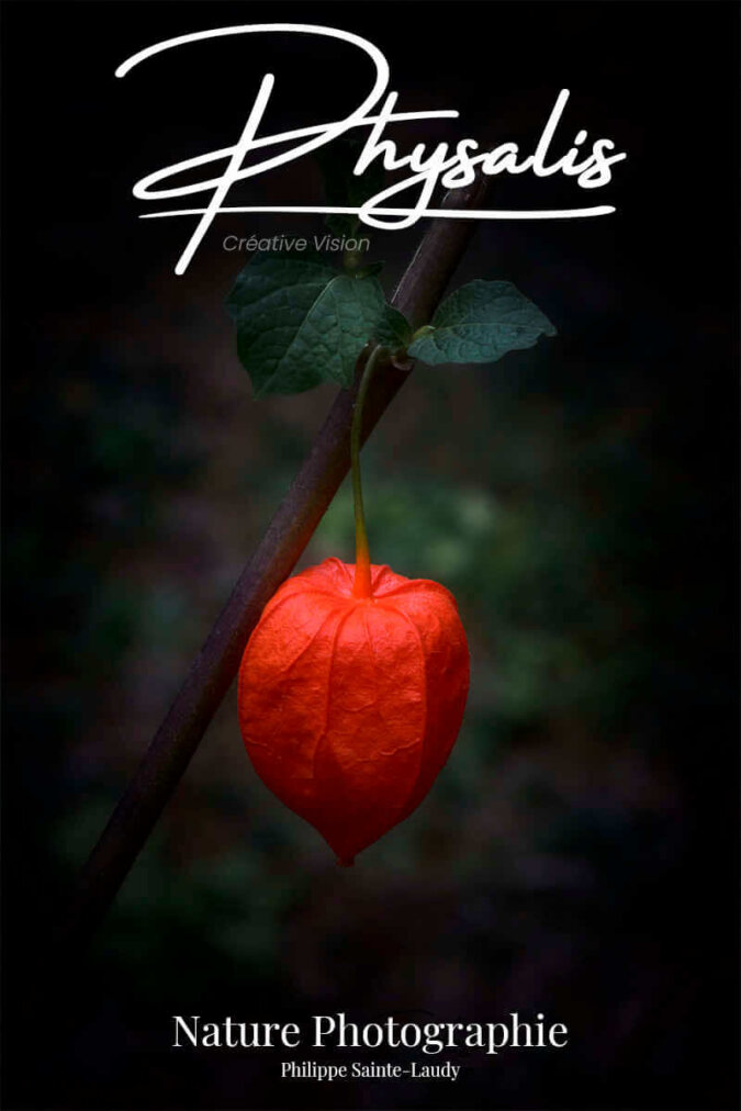 Photos-de-physalis Des photos de physalis