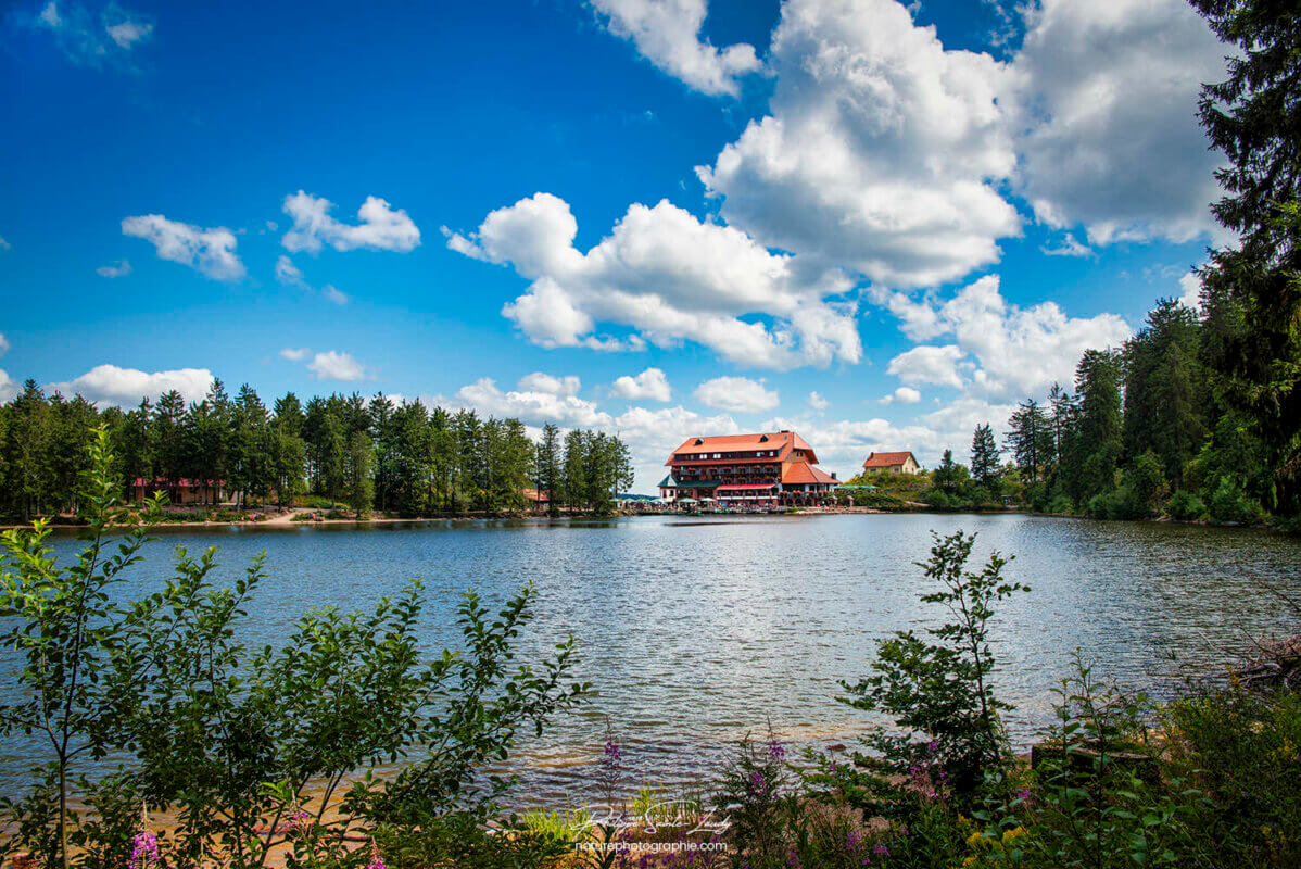 Un été au Mummelsee