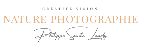 NATURE PHOTOGRAPHIE - CREATIVE VISION