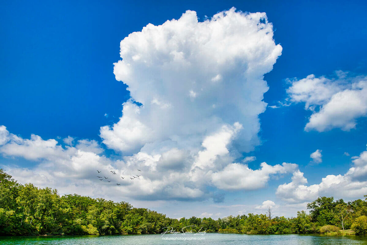 Nuage sur étang