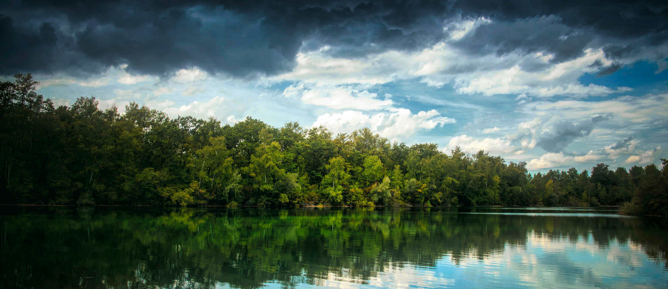 Reflet de forêt dans un étang