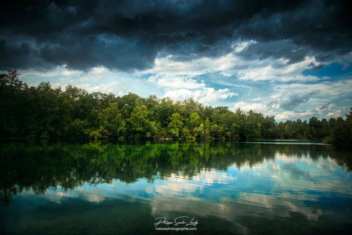 Reflet d'une forêt dans un étang