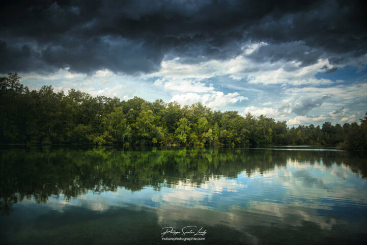 Reflet d'une forêt dans un étang