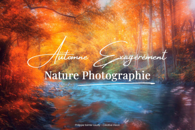 Automne les photos