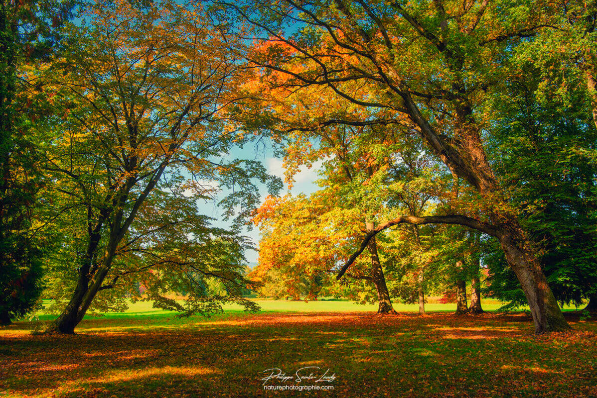 Belle journée d'automne