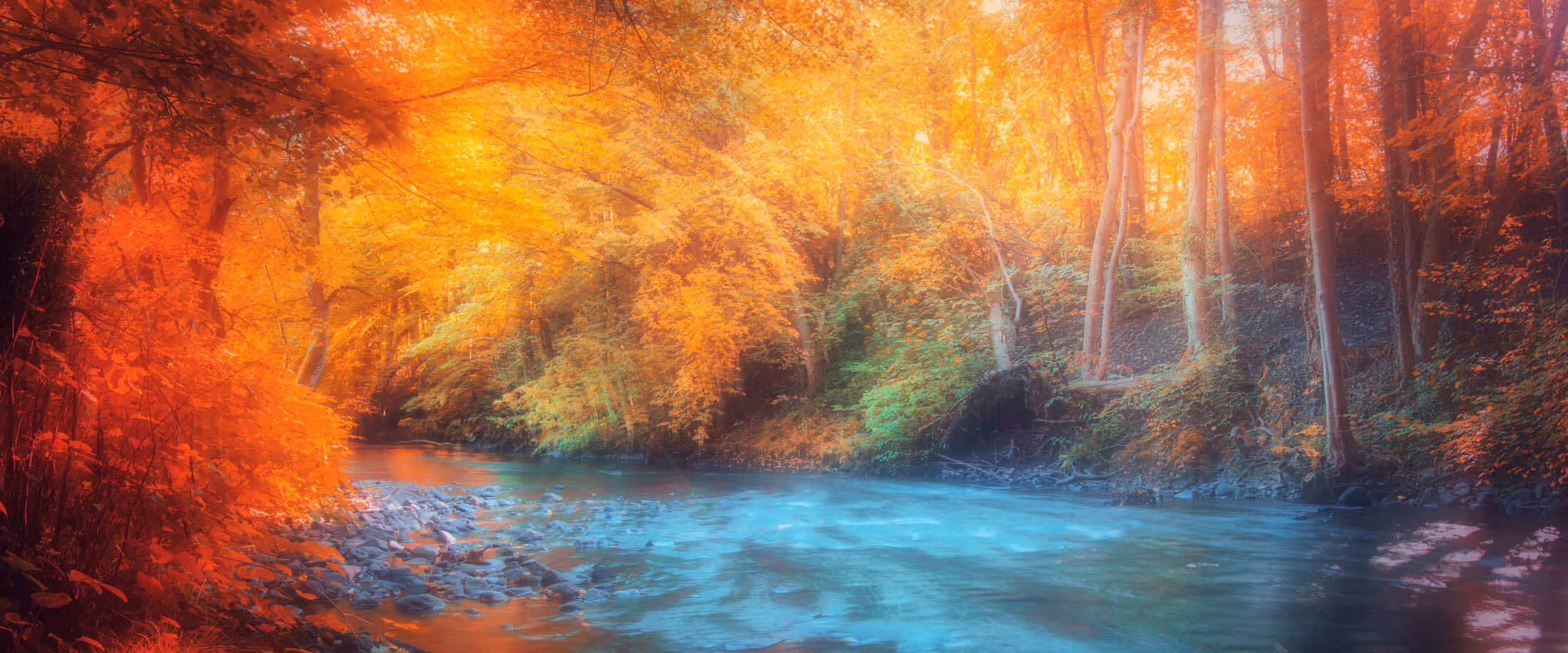 Article avec des photos d'automne