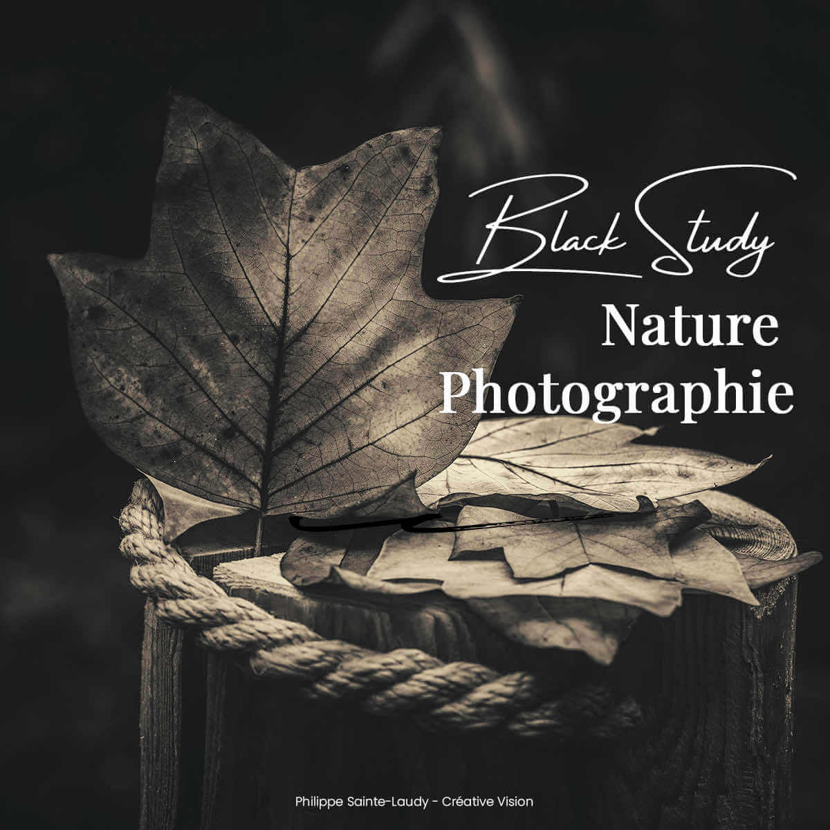 Photos d'automne en noir et blanc