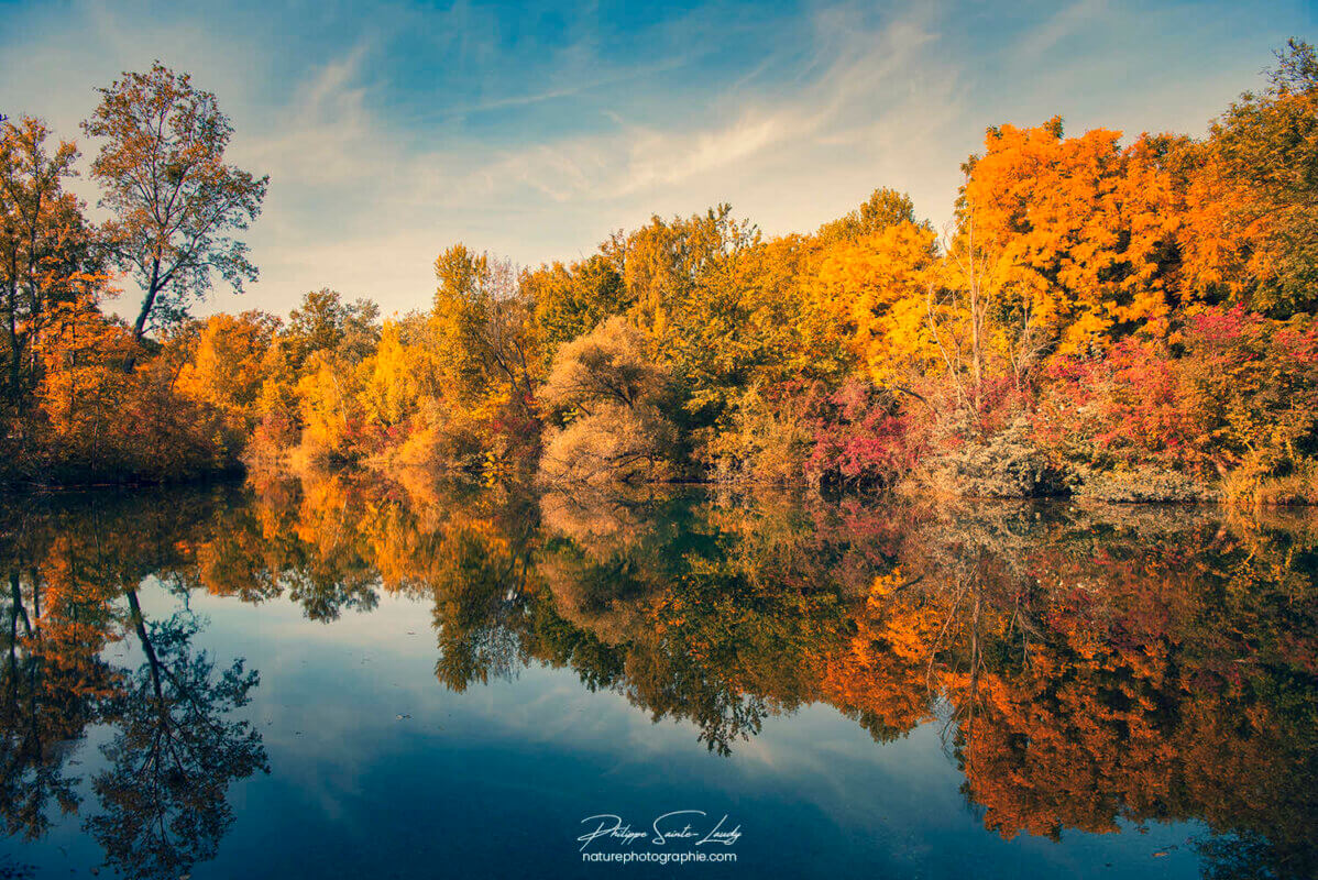 Nature en automne