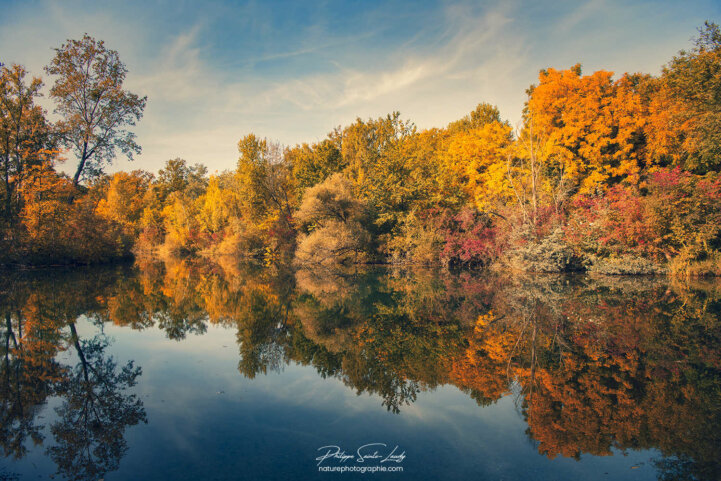 Nature en automne