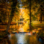 Cours d'eau en forêt