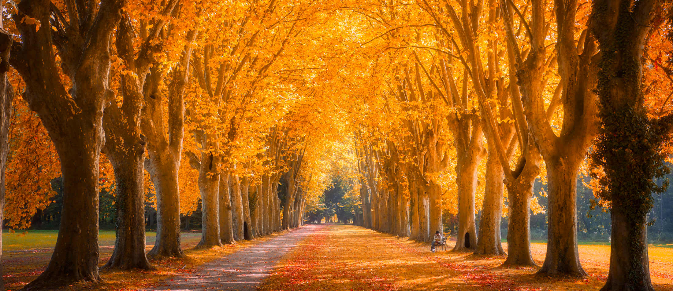 Les couleurs de l'automne en Alsace