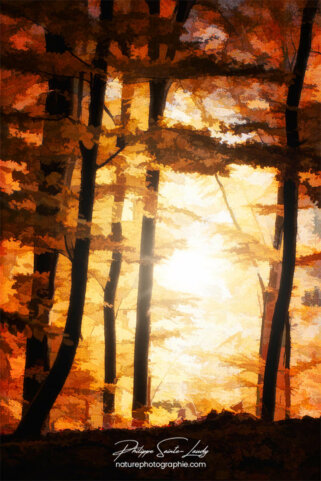 Effet Photoshop en automne