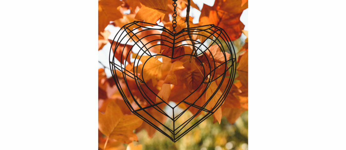 Automne, les photos.