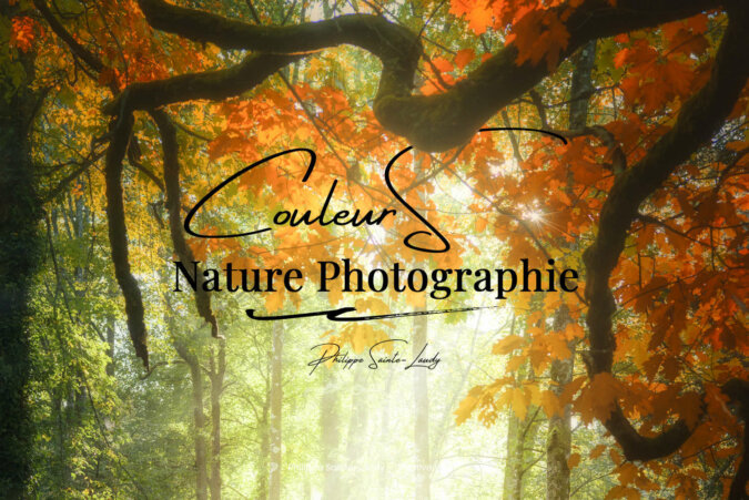 Il était une fois les couleurs de l’automne Il était une fois les couleurs de l’automne