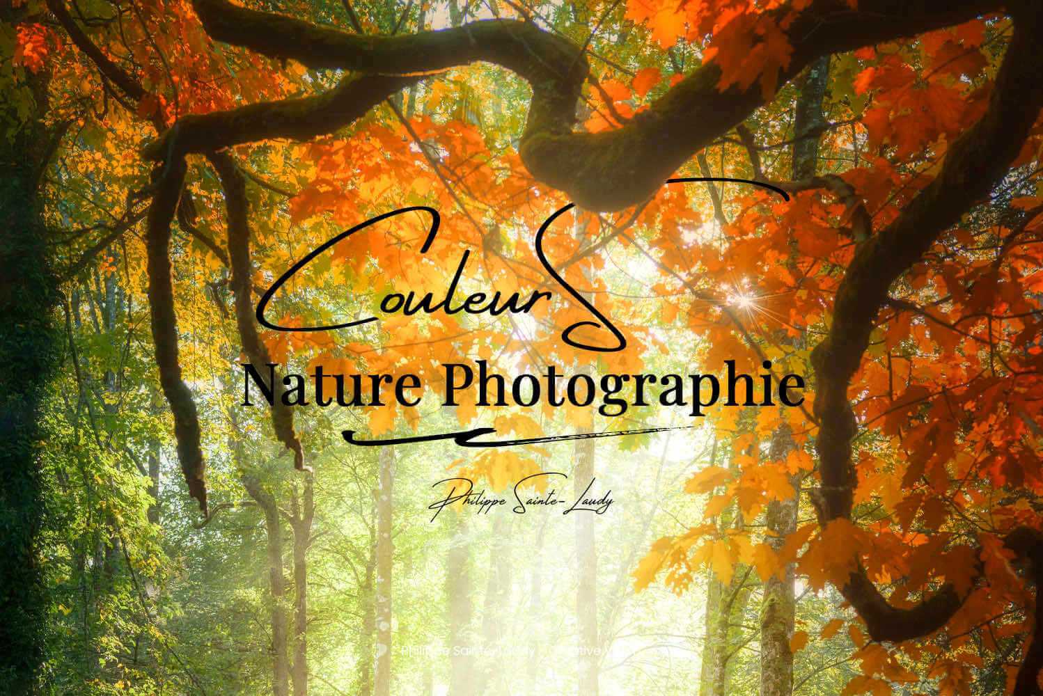 Il était une fois les couleurs de l’automne