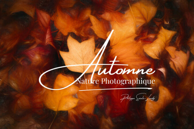 Automne-2022 Article avec des photos d'automne