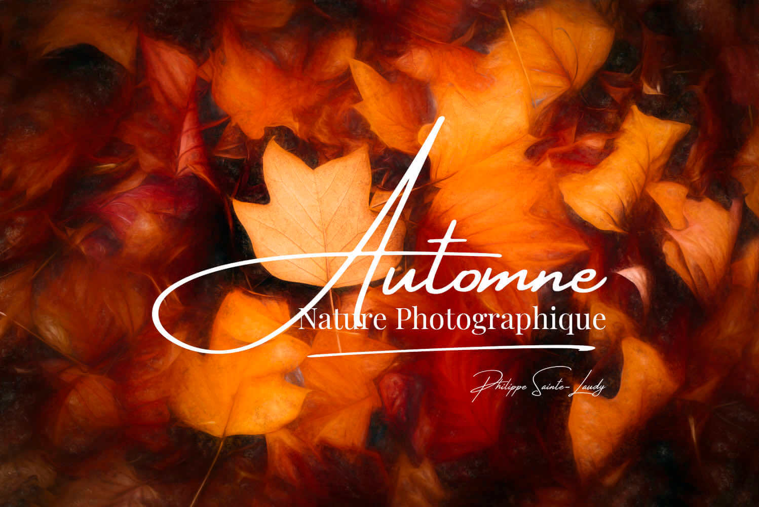 Article avec des photos d'automne
