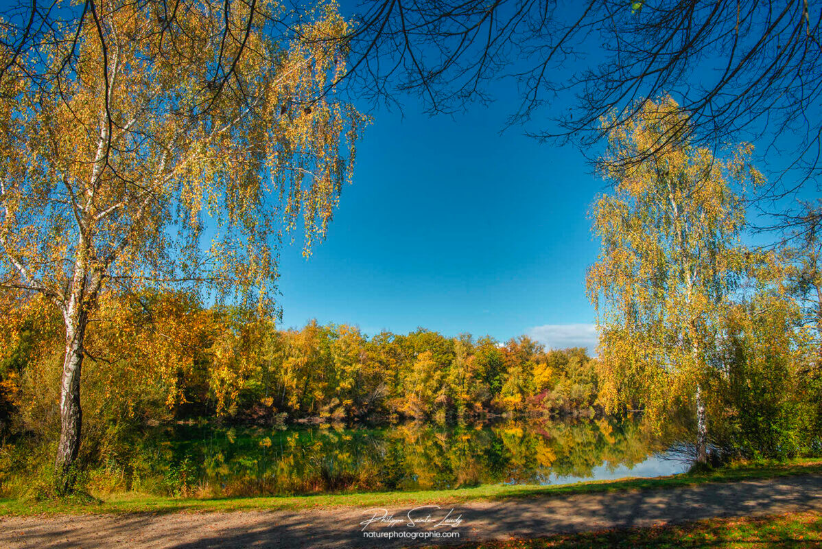 Jour d'automne