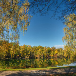 Autumn Blue Jour d'automne