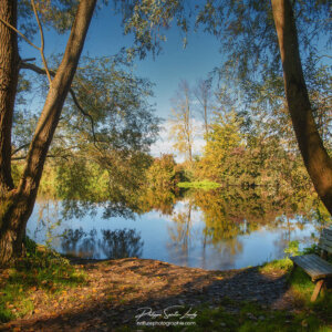 Beautiful Fall Place Paysage et étang
