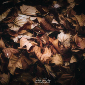 Last Days Tapis de feuilles