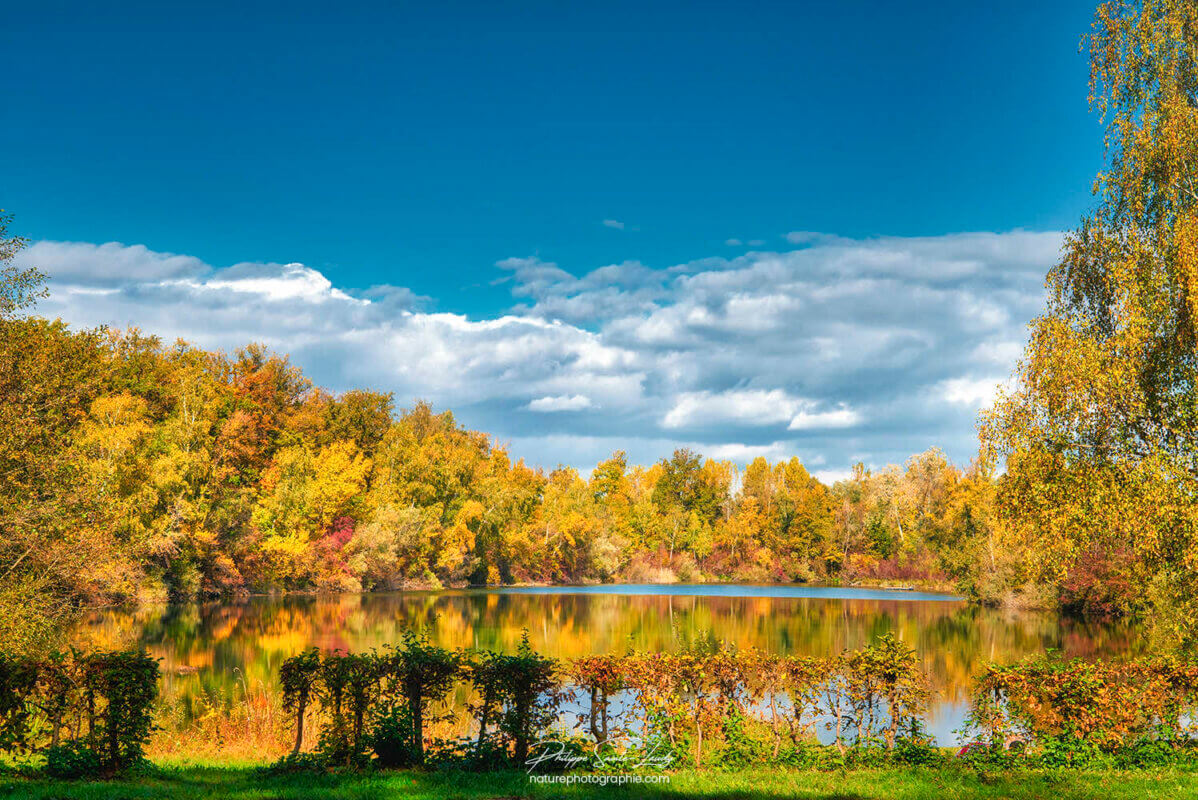 Paysage d'automne