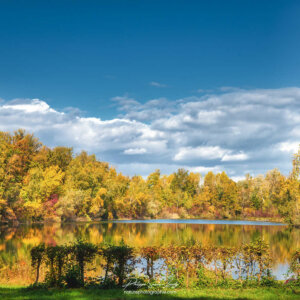 Mixed Autumn Results Paysage d'automne