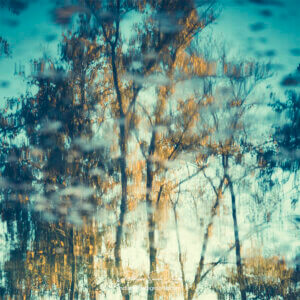Reflection Study #2 Arbres d'automne