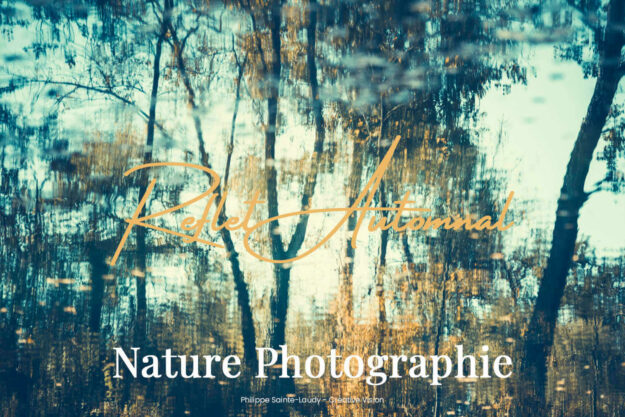 Reflet d'arbres en automne