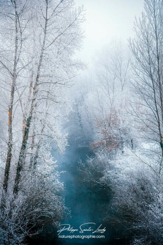 Rivière bleue dans une forêt en hiver