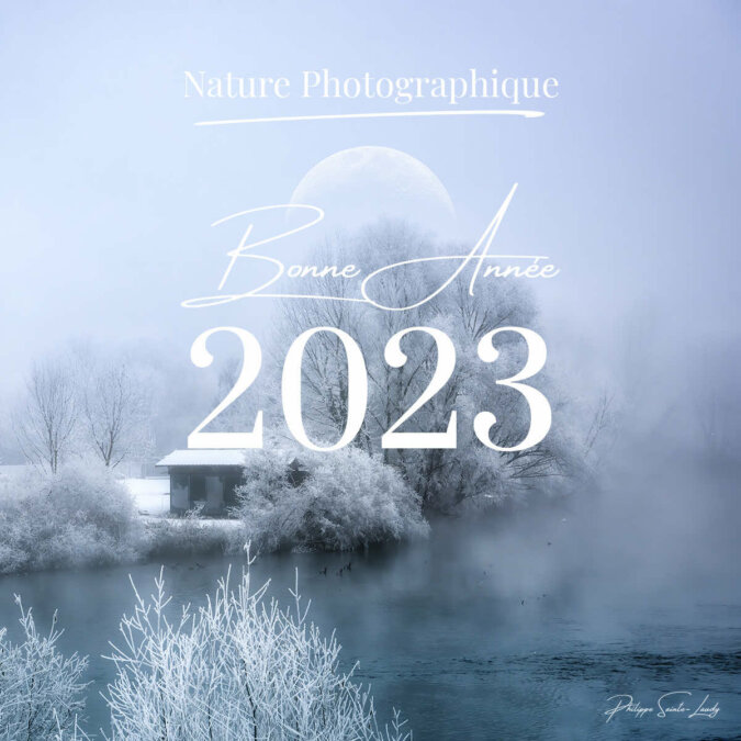 Bonne Année 2023 Bonne Année 2023