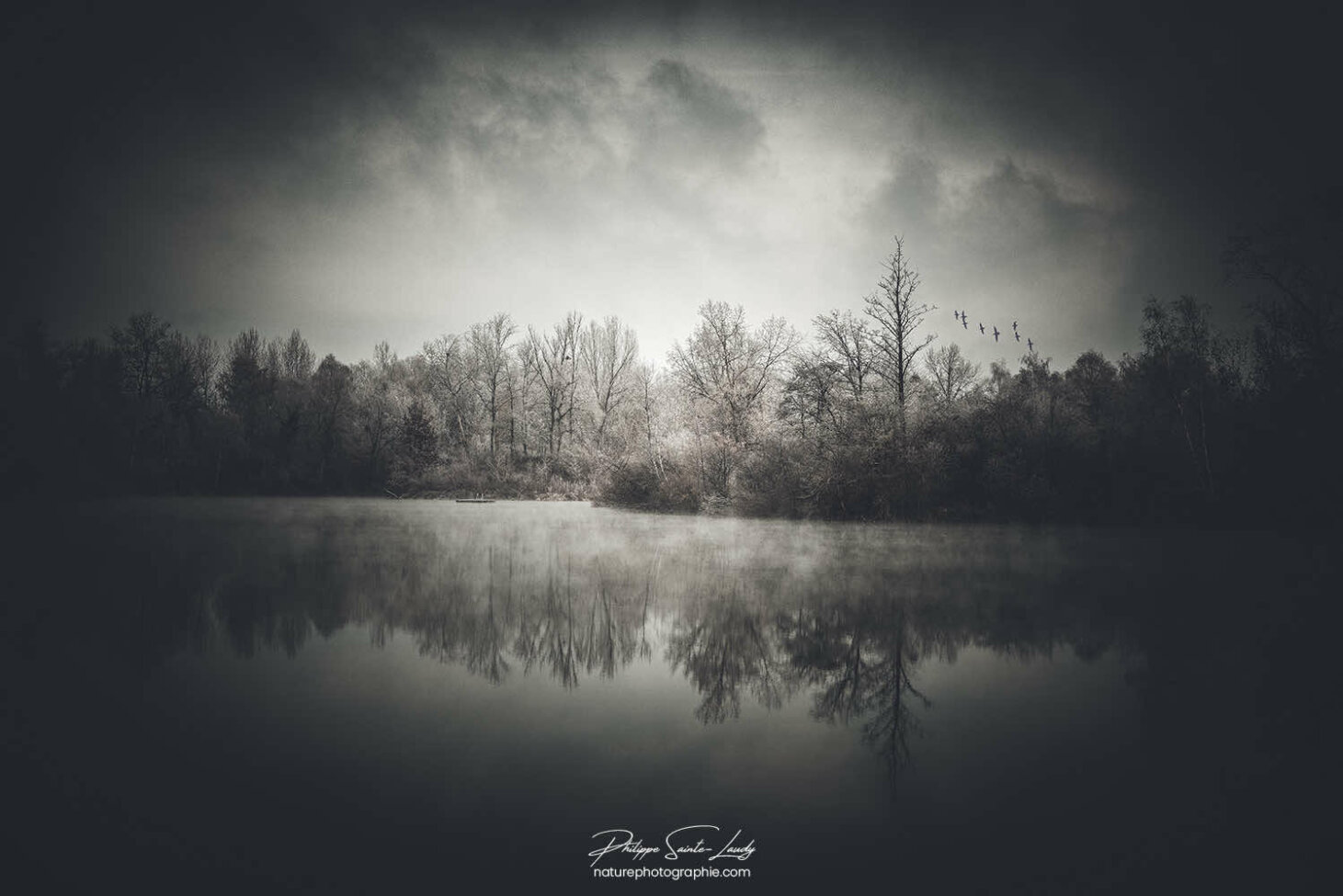 Photo sombre en hiver