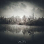 Photo sombre en hiver