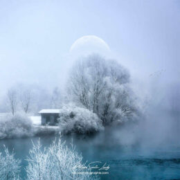 Nature blanche sous la lune