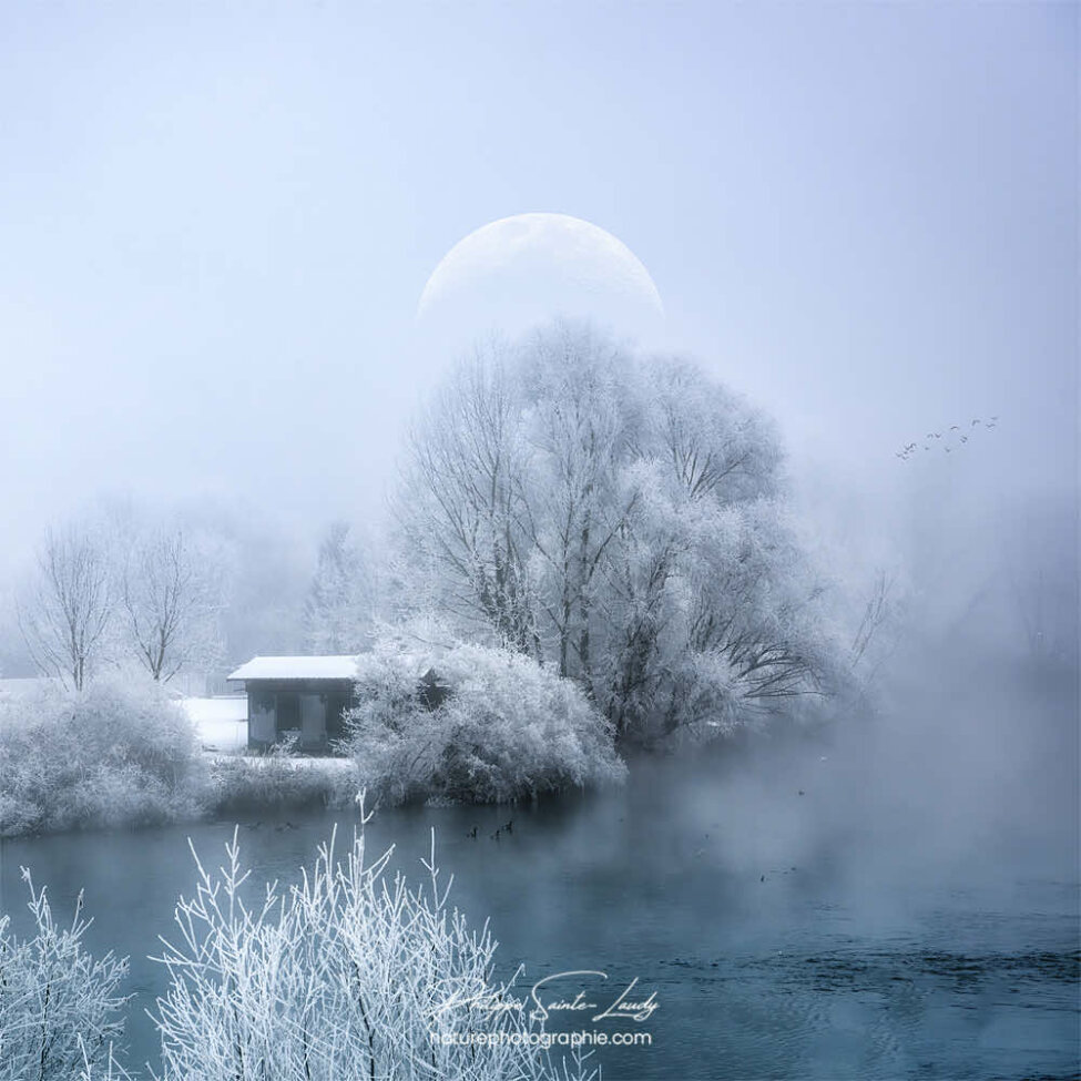 Nature blanche sous la lune