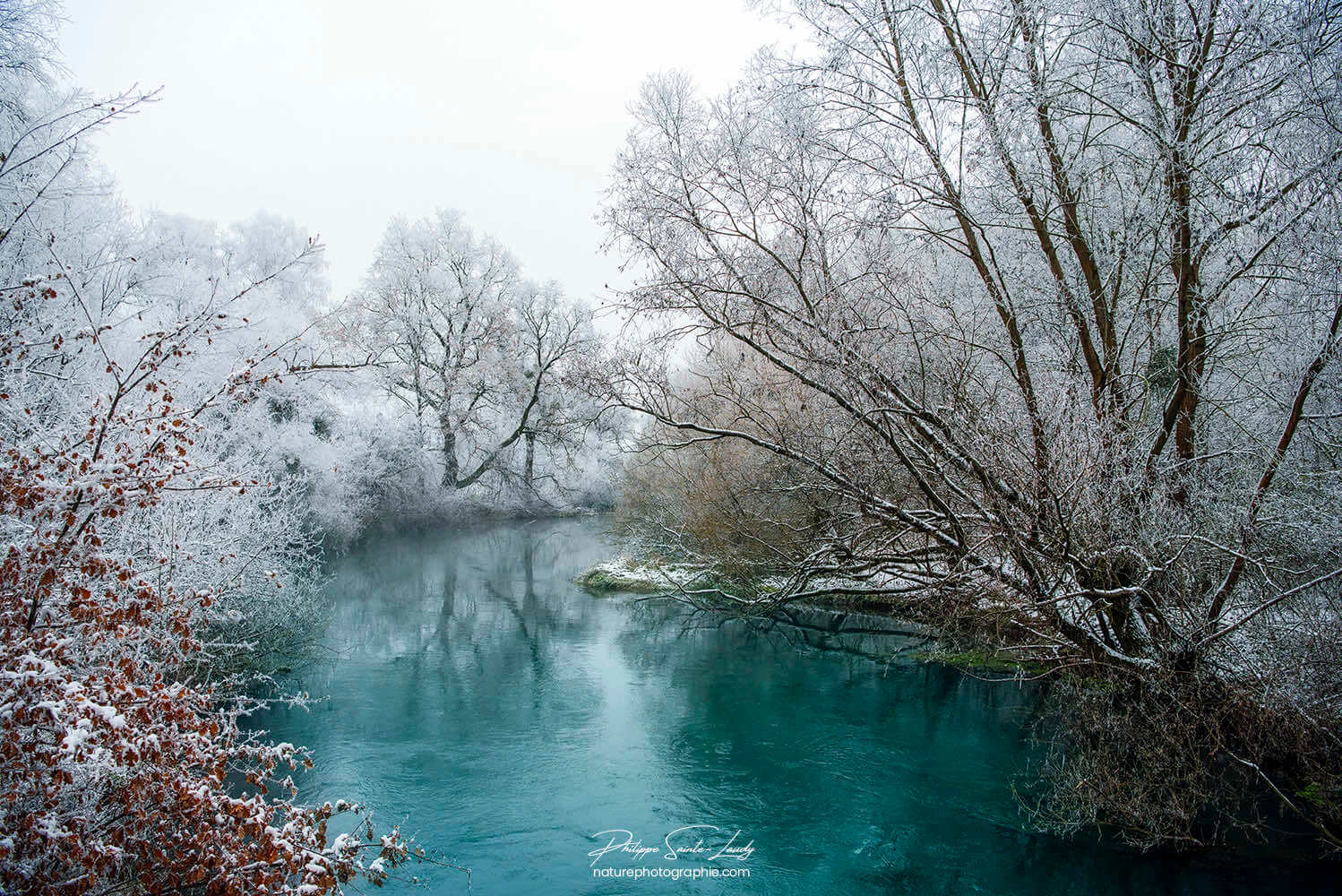 Rivière en forêt