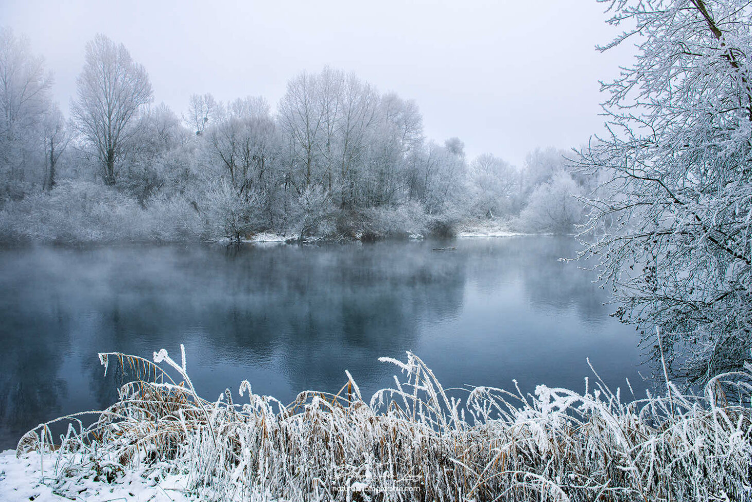 Étang bleu en hiver