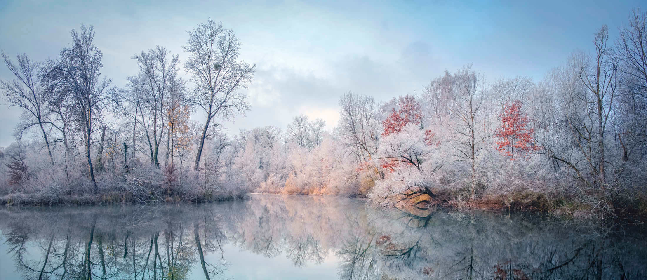 Paysage naturel en hiver