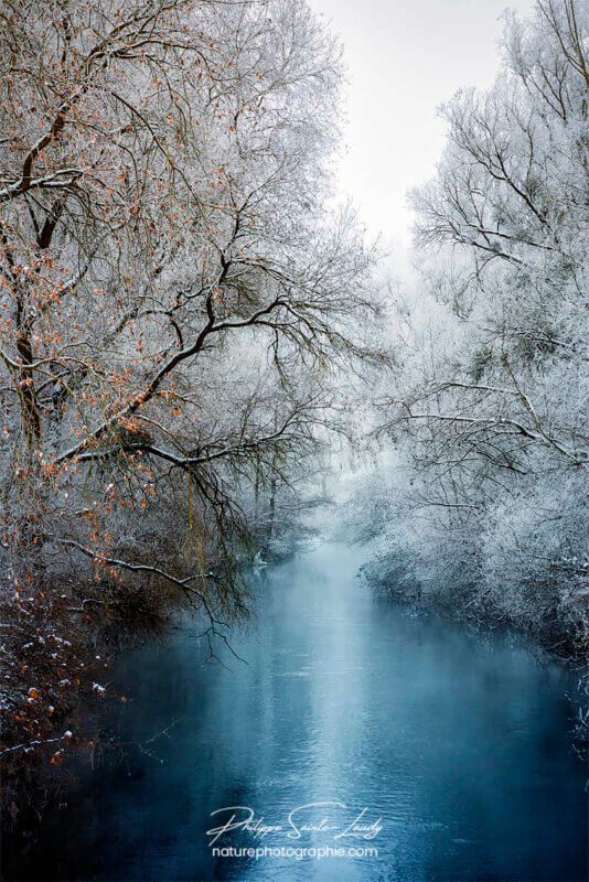 Rivière en sous-bois