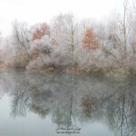 Reflet d'une forêt dans un lac en hiver