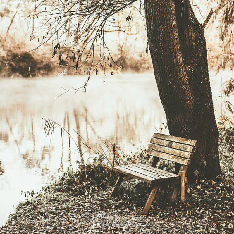 Un banc près de l'eau