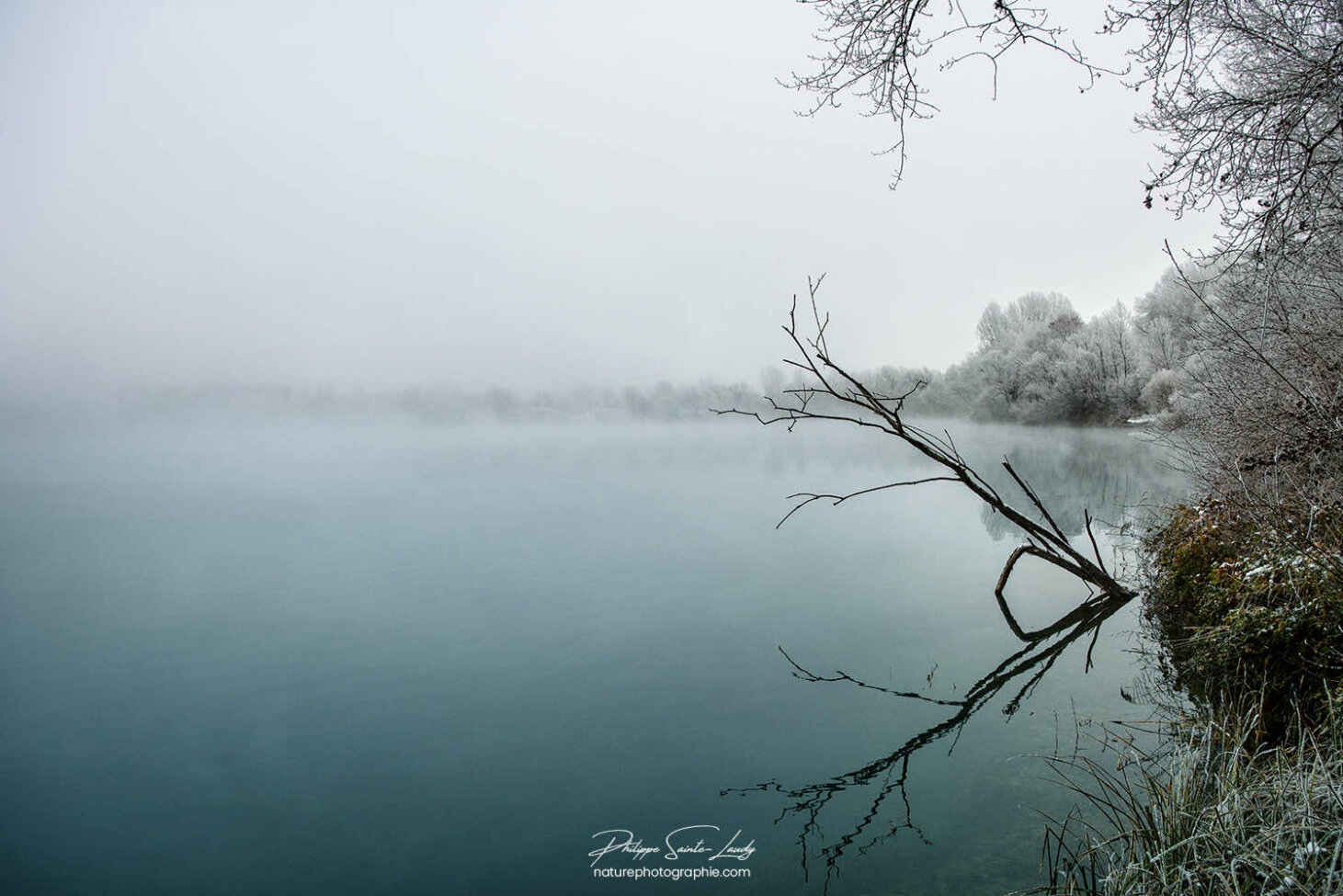 Reflet d'une branche dans un étang