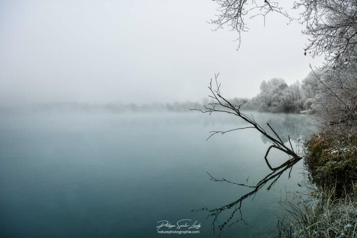 Reflet d'une branche dans un étang