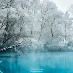 Les eaux bleues d'un étang en hiver