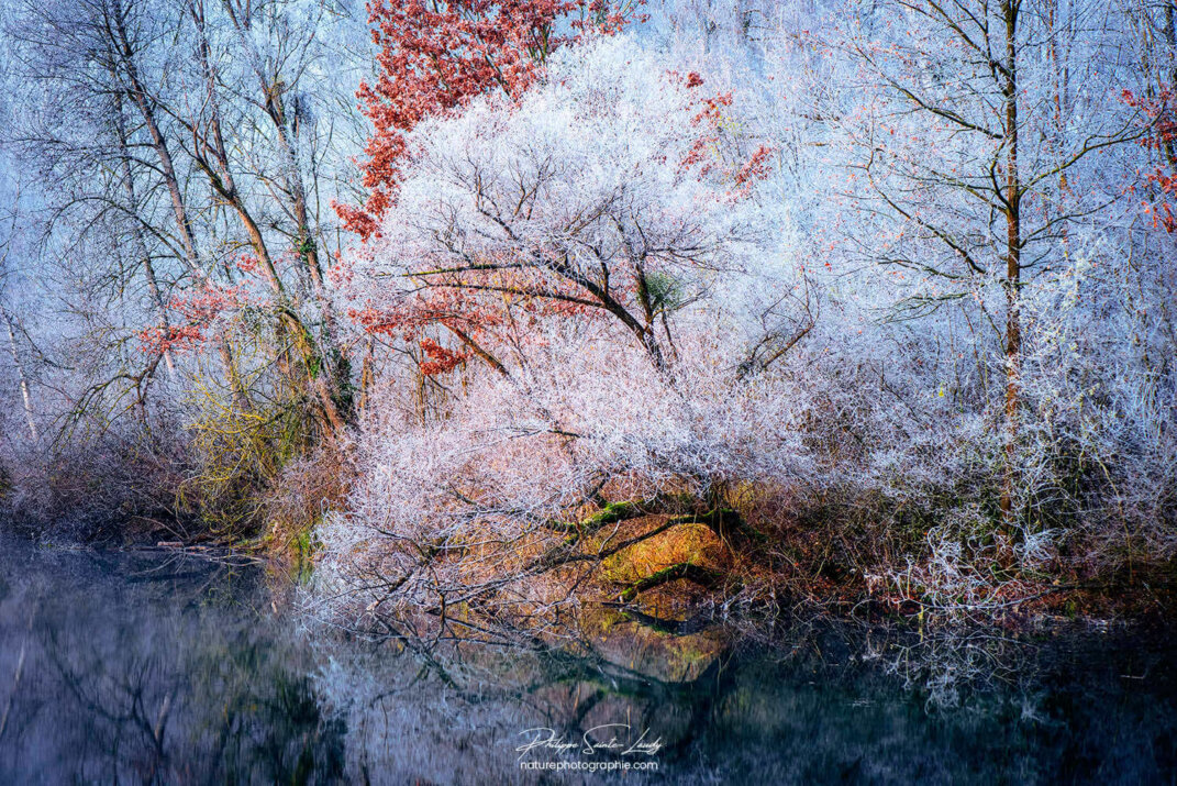 La nature se couvre de blanc