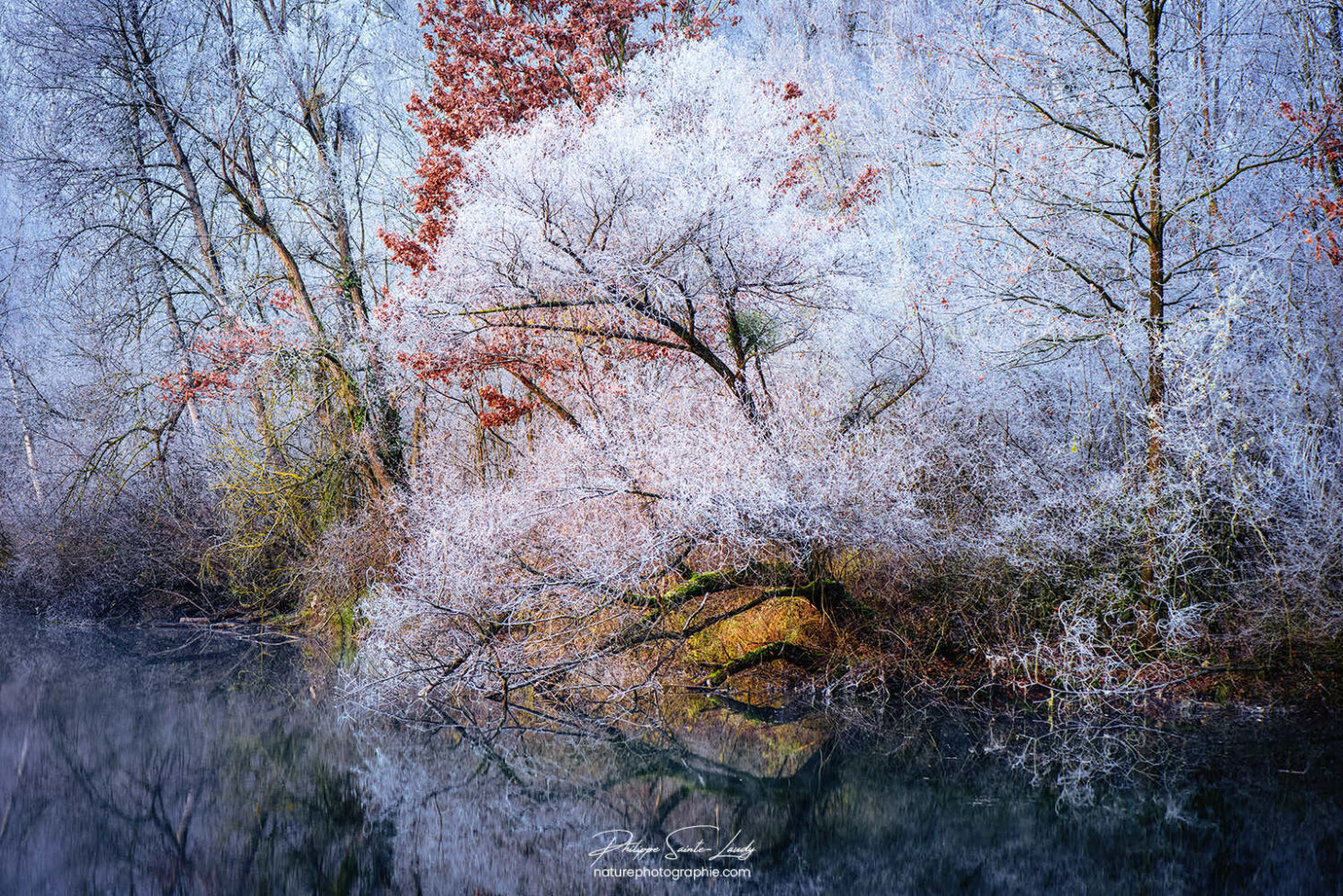La nature se couvre de blanc