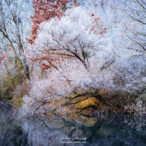 La nature se couvre de blanc