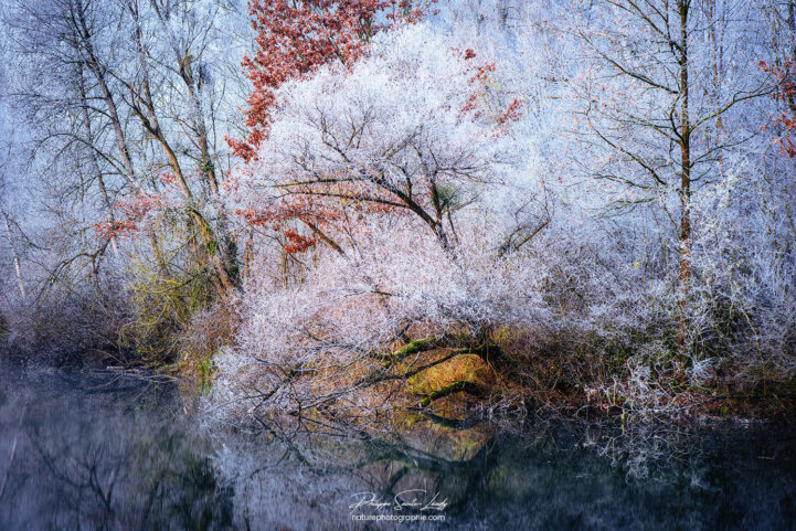La nature se couvre de blanc